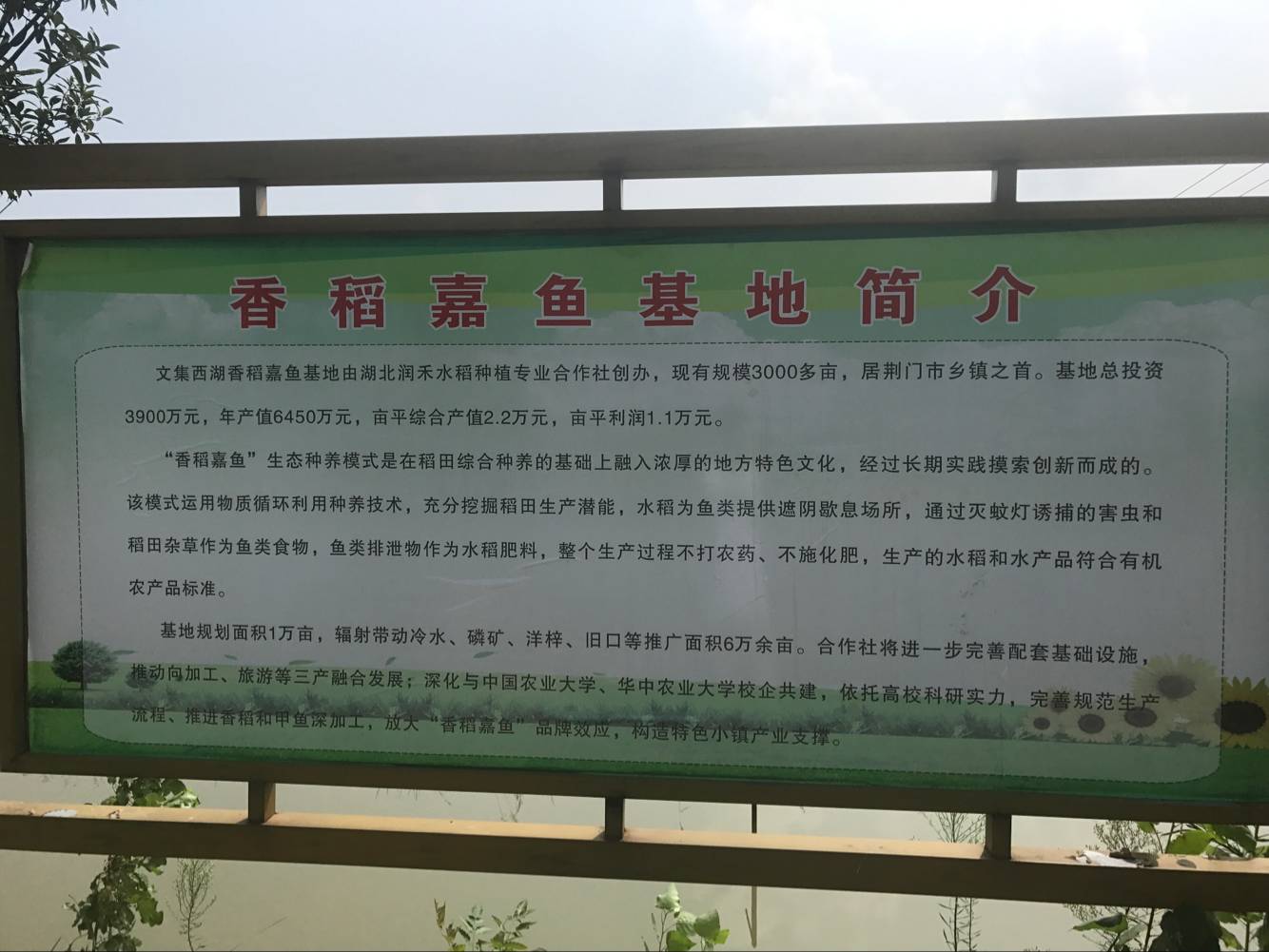 钟祥新种养2.jpg