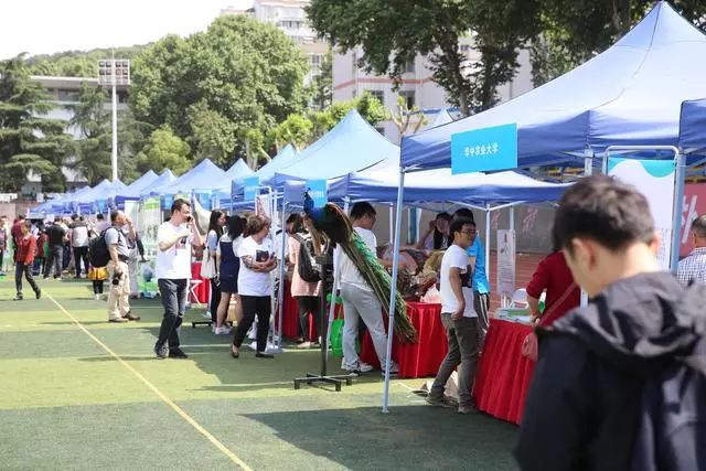 大字红色.jpg